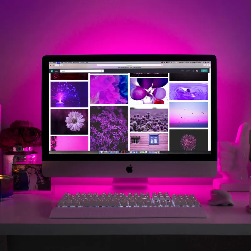 web sitesi düzeni